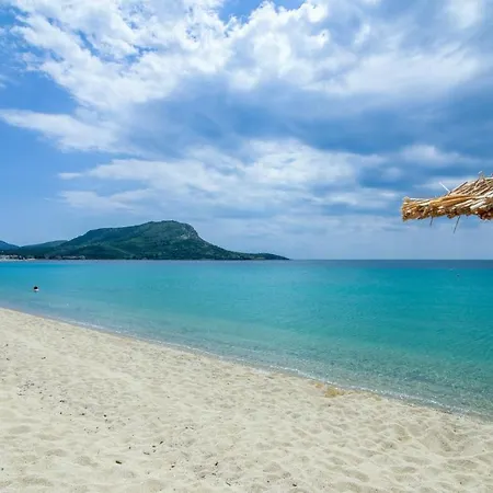 Paradise * Toroni
