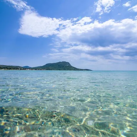 Paradise * Toroni